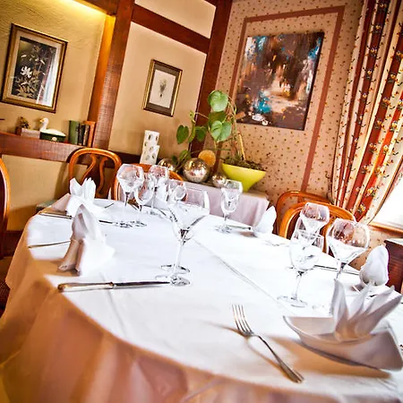 Logis Aux Comtes De Hanau Hotel Ingwiller