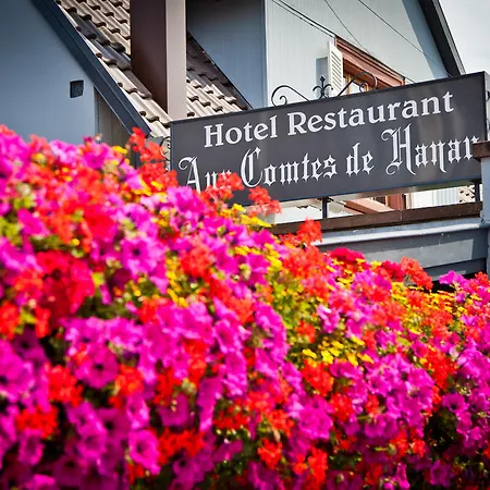 Logis Aux Comtes De Hanau Hotel