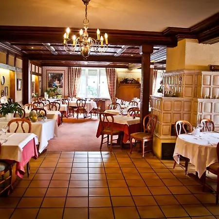 Hotel Logis Aux Comtes De Hanau 2*