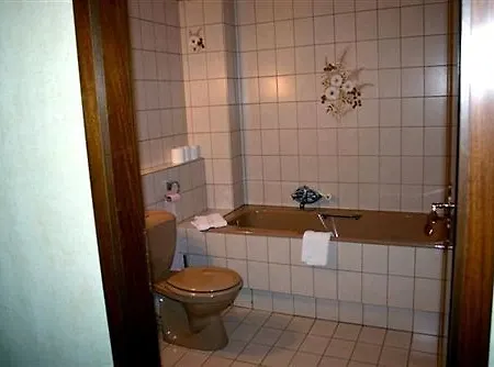 Logis Aux Comtes De Hanau 2* Ingwiller